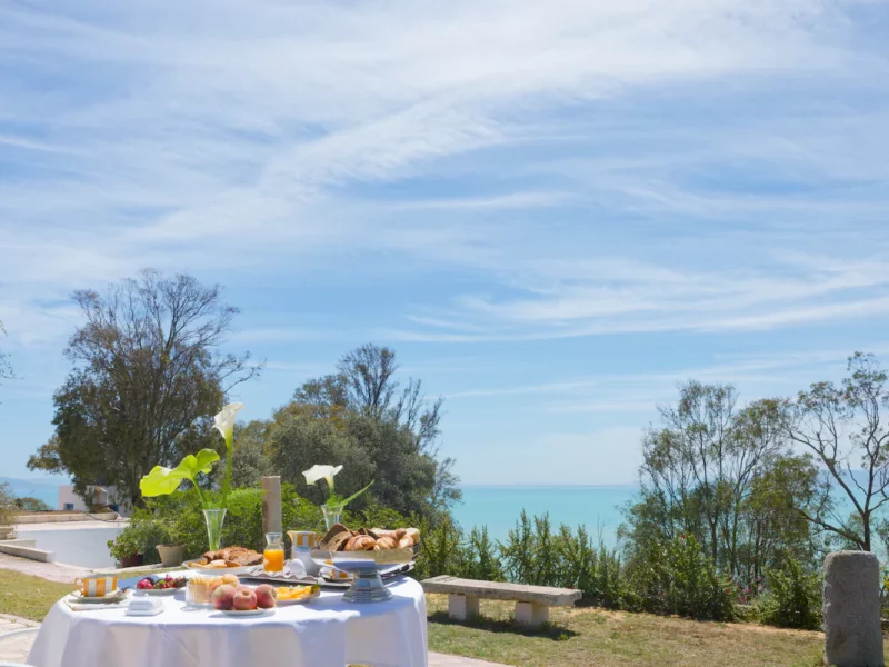 Lella Kmar Petit déjeuner et piscine Sidi Bou Said - Photo 10