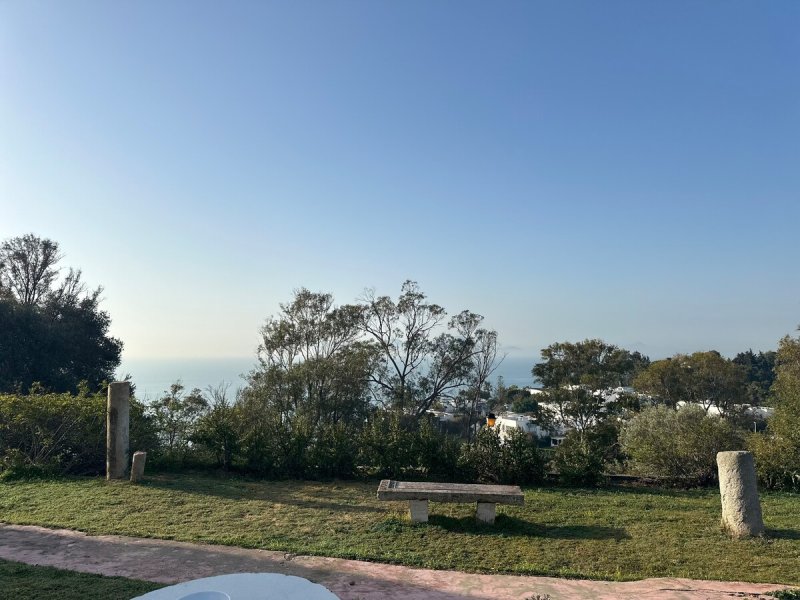 Lella Kmar Petit déjeuner et piscine Sidi Bou Said - Photo 32