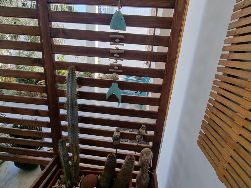 Studio au coeur du site archéologique de Carthage - Photo 22