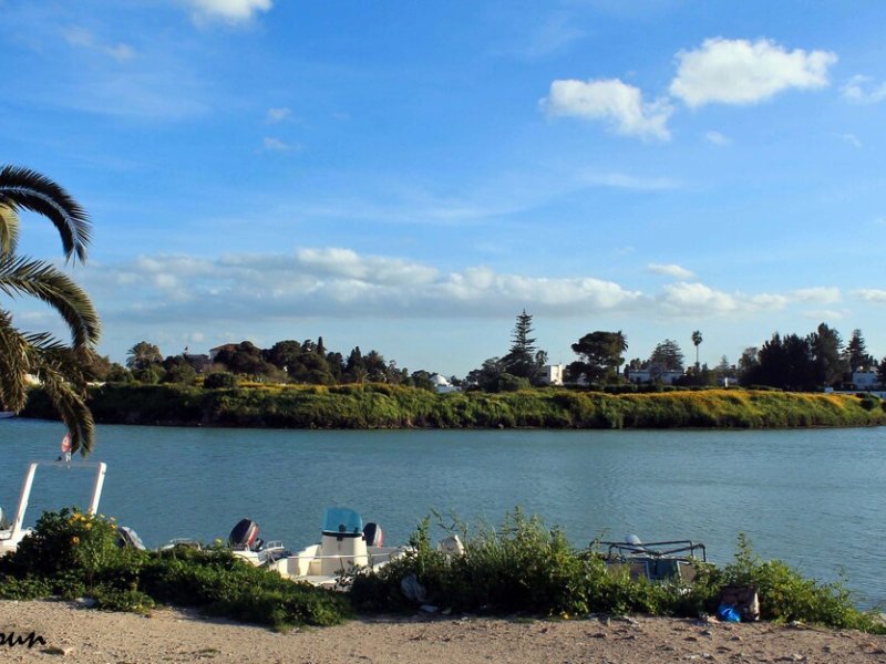 Studio au coeur du site archéologique de Carthage - Photo 30