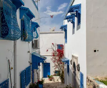 Photo 15 de Le Nid de Sidi Bou Said