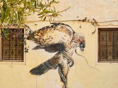 Photo 24 de Dar Chedly : Vue Panoramique & Street Art