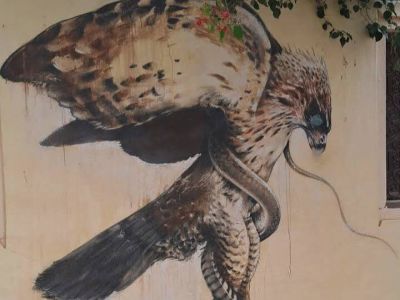 Photo 47 de Dar Chedly : Vue Panoramique & Street Art