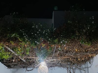 Photo 30 de Maison Dar Taher-Djerba