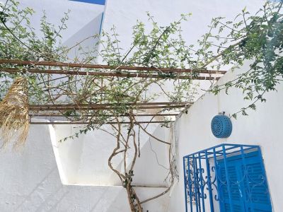 Photo 33 de Maison Dar Taher-Djerba