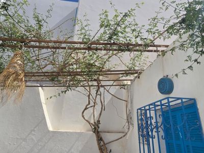 Photo 38 de Maison Dar Taher-Djerba