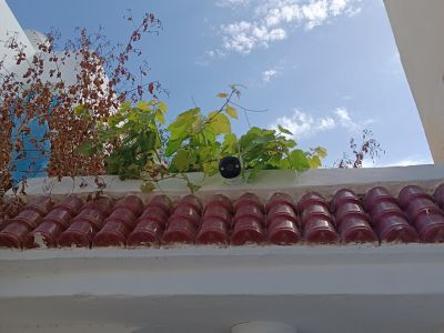 Photo 43 de Maison Dar Taher-Djerba