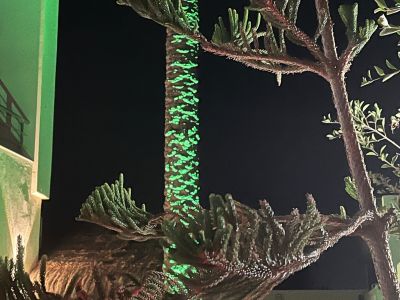 Photo 62 de Villa Prado luxe