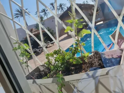 Photo 95 de Dar selim midoun