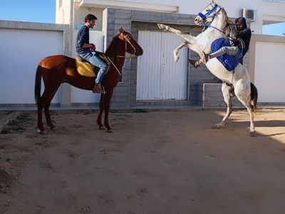 Photo 34 de villa roche