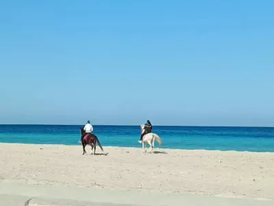 Photo 46 de villa roche