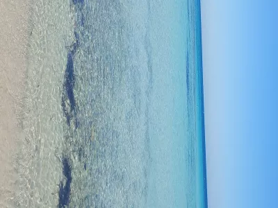 Photo 50 de villa roche