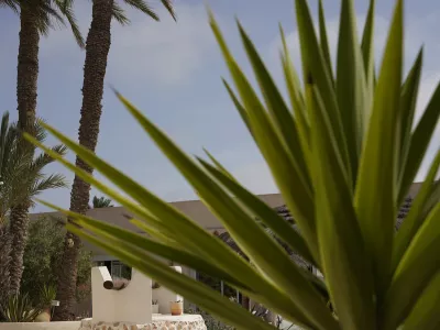 Photo 29 de Résidence Dar Al Baraka - appartement Fatma