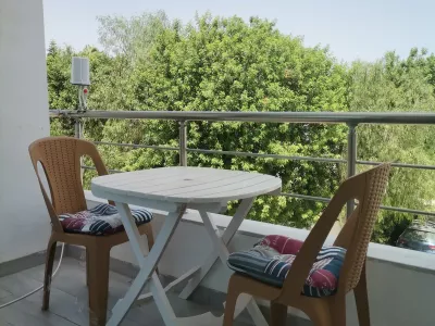 Photo 24 de Sabri traum hamammet 9