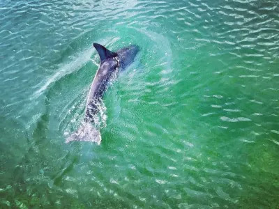 Photo 46 de Villa Lamys Djerba houmt souk à 5 minute du centre