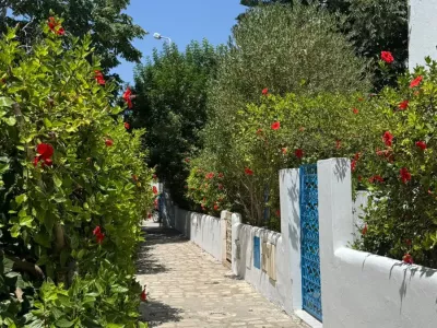 Photo 11 de appartement S1