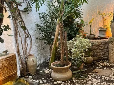 Photo 24 de Maison Les Cyprès (DarEsarwel)