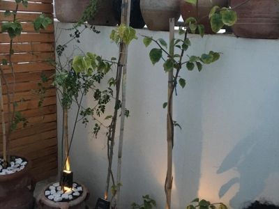 Photo 22 de Studio agréable et confortable