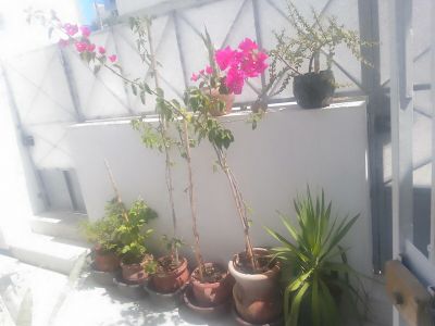 Photo 23 de Studio agréable et confortable