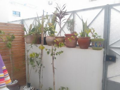 Photo 24 de Studio agréable et confortable