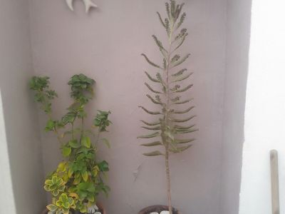 Photo 26 de Studio agréable et confortable