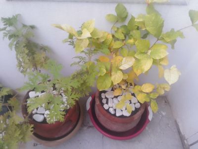 Photo 28 de Studio agréable et confortable