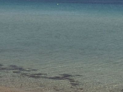 Photo 31 de Studio agréable et confortable