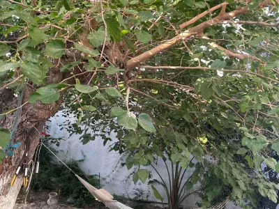 Photo 7 de Studio s+1 climatisée hammamet