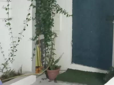 Photo 10 de appartement la rosa.