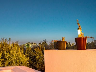 Photo 20 de DAR SAIDA