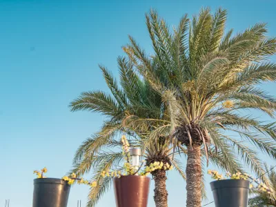 Photo 26 de DAR SAIDA