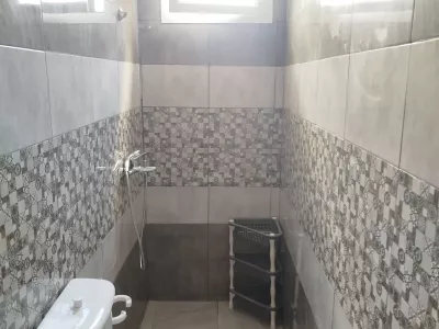 Photo 11 de L'olivier