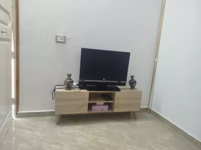 Photo 3 de L'olivier