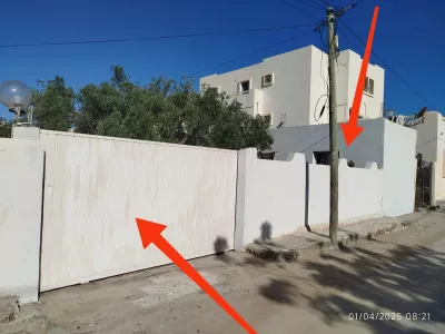 Photo 8 de L'olivier