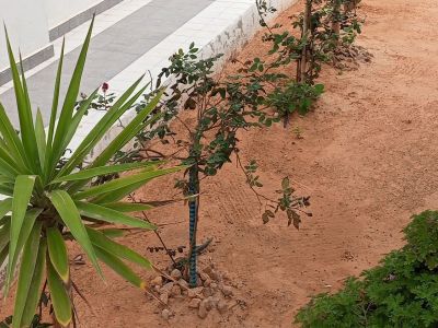 Photo 42 de Résidence Inès Appart de luxe  S+2 avec balcon