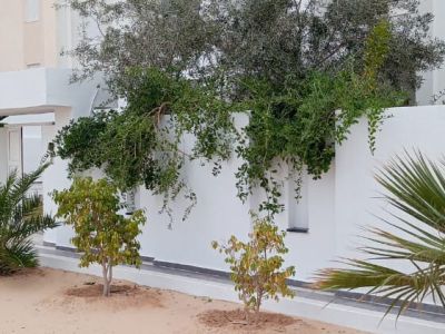 Photo 52 de Résidence Inès Appart de luxe  S+2 avec balcon