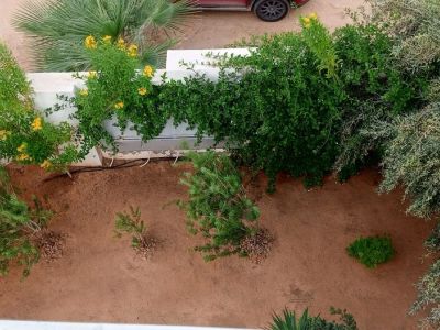 Photo 58 de Résidence Inès Appart de luxe  S+2 avec balcon