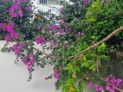 Photo 40 de Le Tunisois de Sidi Bousaid idéalement situé