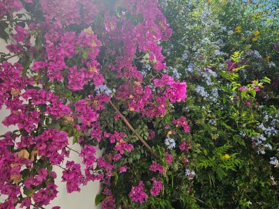 Photo 44 de Le Tunisois de Sidi Bousaid idéalement situé