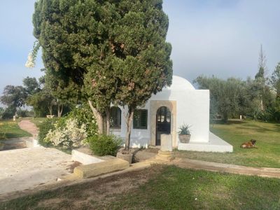 Photo 26 de Lella Kmar Petit déjeuner et piscine Sidi Bou Said