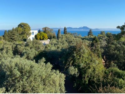 Photo 43 de Lella Kmar Petit déjeuner et piscine Sidi Bou Said