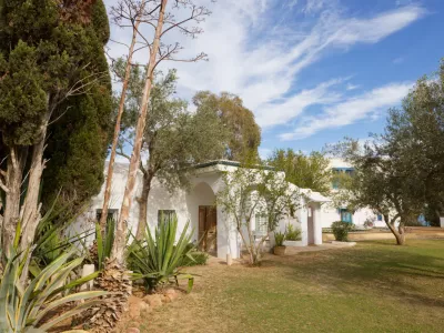Photo 41 de Lella Zohra, petit déjeuner et piscine  Sidi Bou Said