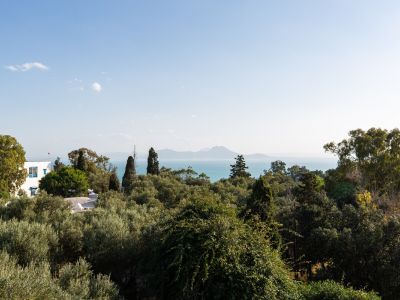 Photo 50 de Si Brahim Petit déjeuner et piscine sidi bou Said