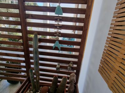 Photo 22 de Studio au coeur du site archéologique de Carthage