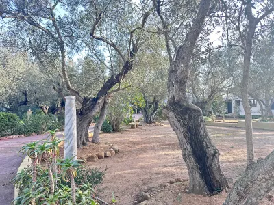 Photo 35 de Suite Noor, petit déjeuner et piscine SidiBouSaid