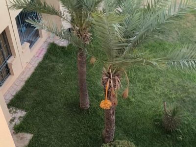 Photo 10 de Appartement Yasmine Hammamet