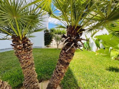 Photo 63 de Belle maison avec belle piscine/très proche de la mer