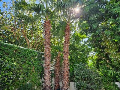 Photo 30 de Suite à « Villa Bonheur »