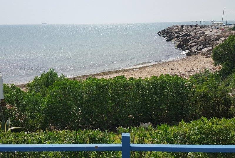 Maison en bois, pied dans l'eau... - Photo 20