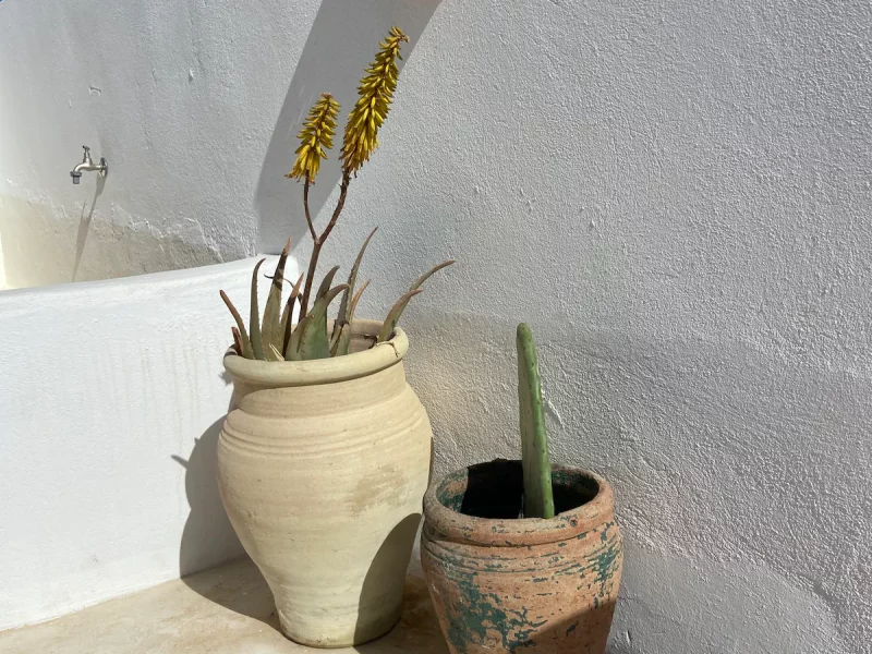 Studio cosy - Photo 86